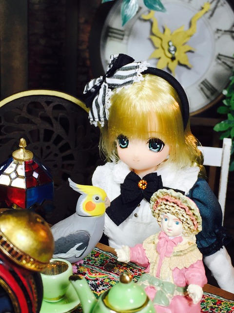 orange_pekoe_7_2017_2_24_IMG_1464