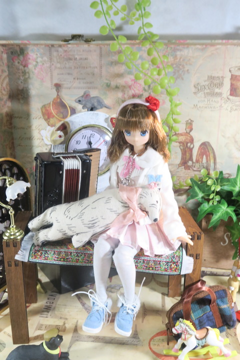 orange_pekoe_6_2017_2_20_IMG_5328