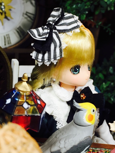 orange_pekoe_4_2017_2_23_IMG_1463
