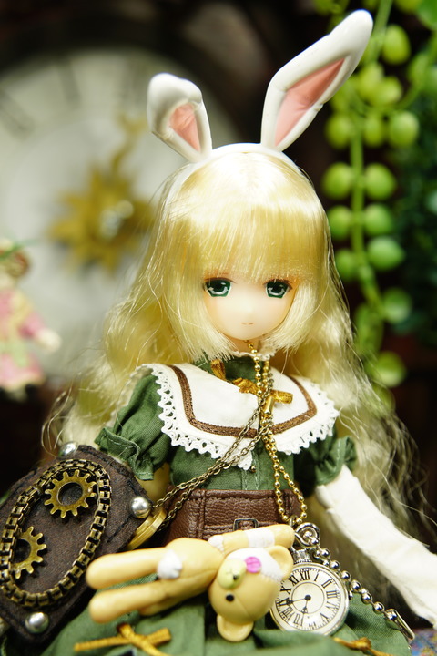 orange_pekoe_6_2018_11_27_DSC00193