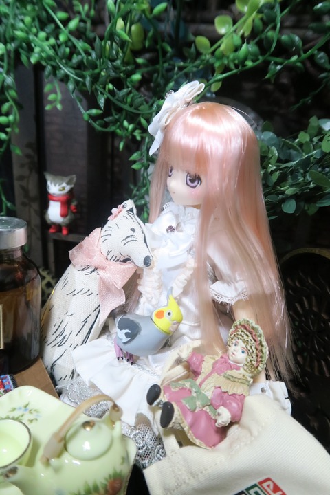 orange_pekoe_5_2016_7_28_IMG_2932