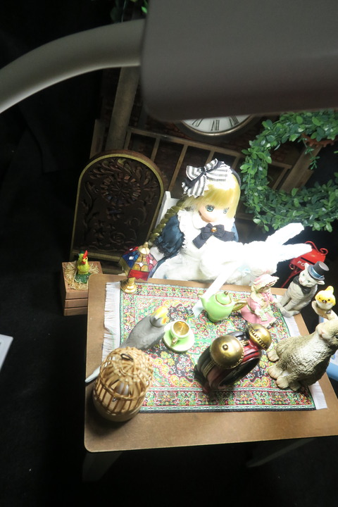 orange_pekoe_6_2017_2_19_IMG_5610