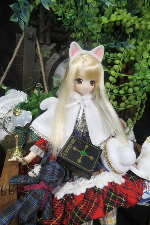 orange_pekoe_4_2019_5_1_IMG_1499