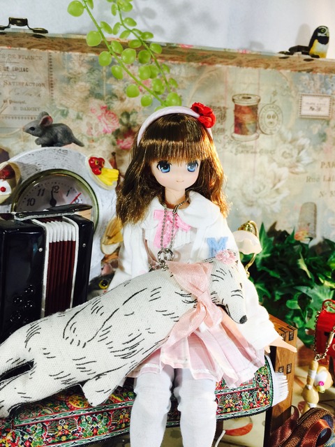 orange_pekoe_7_2017_2_27_IMG_1031