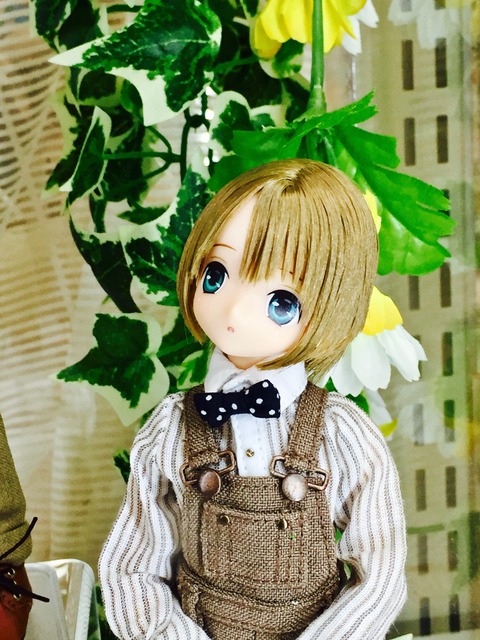 orange_pekoe_7_2017_7_21_IMG_5058