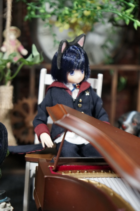 orange_pekoe_6_2019_4_16_DSC00605