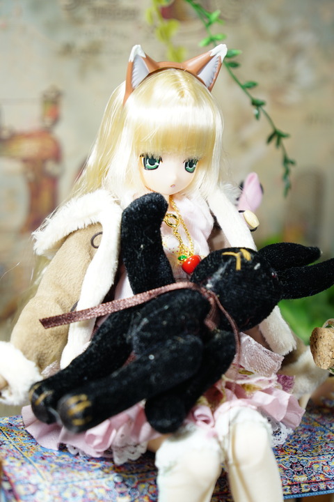 orange_pekoe_8_2019_4_21_DSC02445