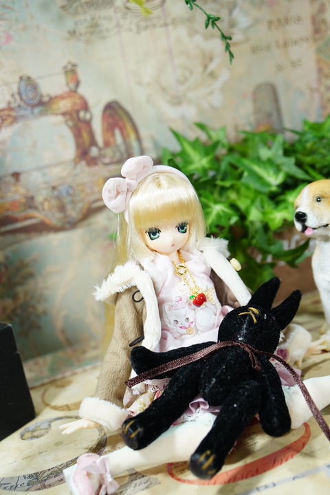 orange_pekoe_6_2019_4_21_DSC02380