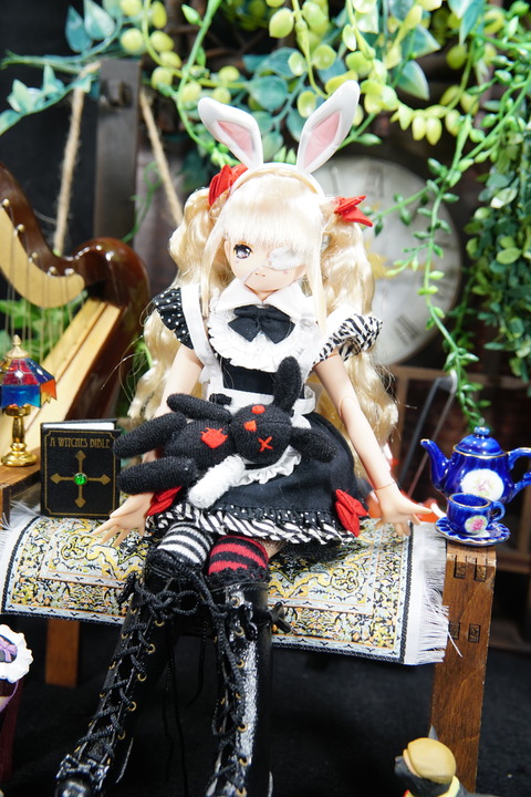 orange_pekoe_8_2019_4_25_DSC02192