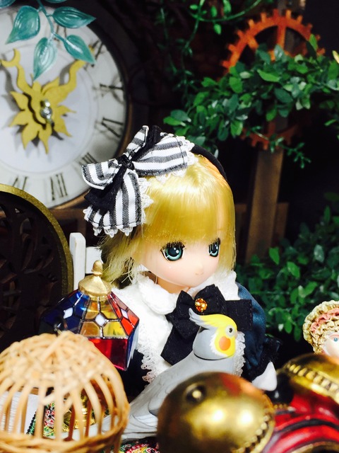 orange_pekoe_7_2017_2_23_IMG_1465
