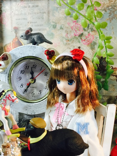 orange_pekoe_7_2017_2_26_IMG_1003