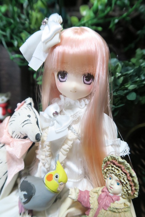 orange_pekoe_8_2016_7_29_IMG_2921