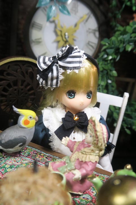 orange_pekoe_6_2019_4_9_IMG_5576