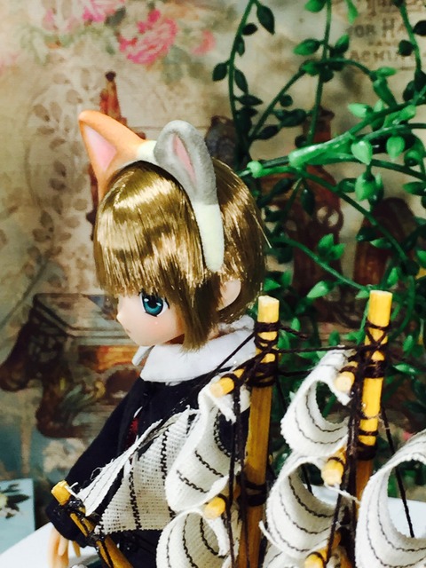 orange_pekoe_4_2019_5_4_IMG_9734