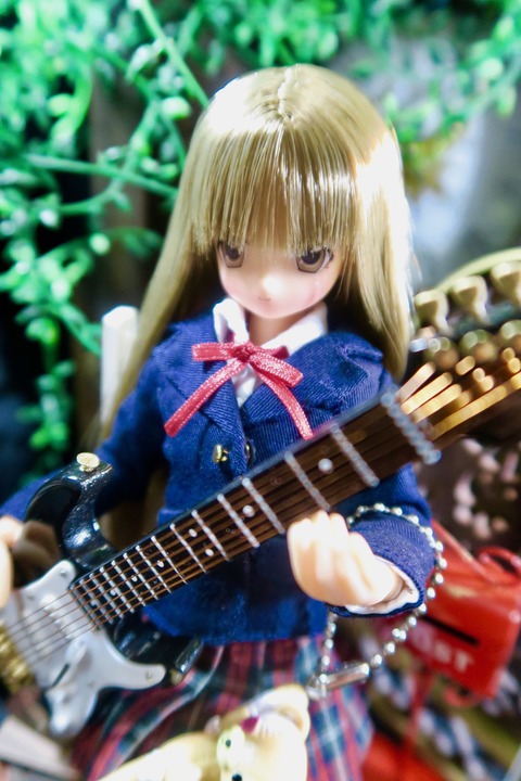 orange_pekoe_8_2017_2_25_IMG_44652