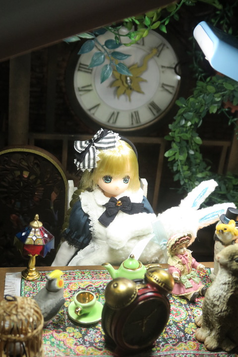 orange_pekoe_5_2017_2_22_IMG_5618