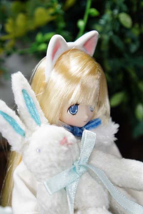 orange_pekoe_8_2019_5_10_DSC02192