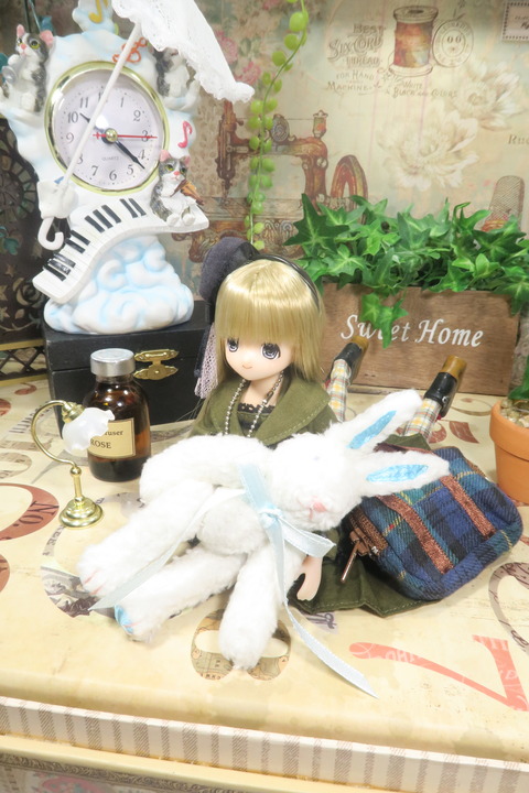 orange_pekoe_5_2019_5_19_IMG_1071