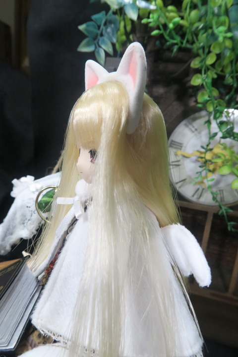 orange_pekoe_5_2019_5_1_IMG_1503