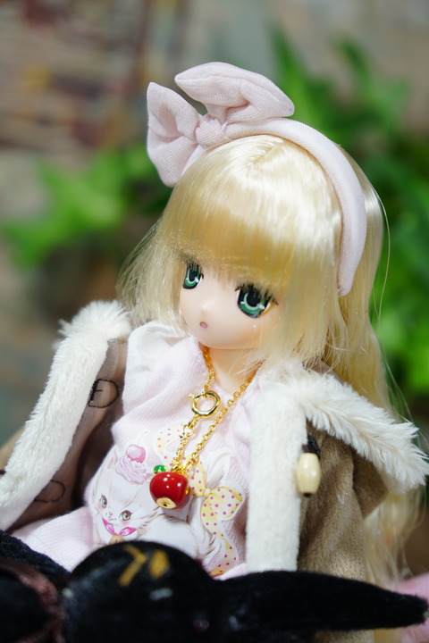 orange_pekoe_6_2019_5_9_DSC02384
