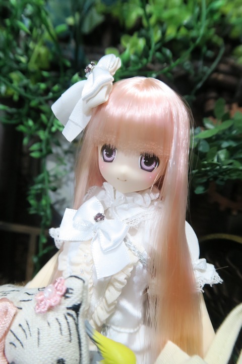 orange_pekoe_3_2016_7_28_IMG_2895
