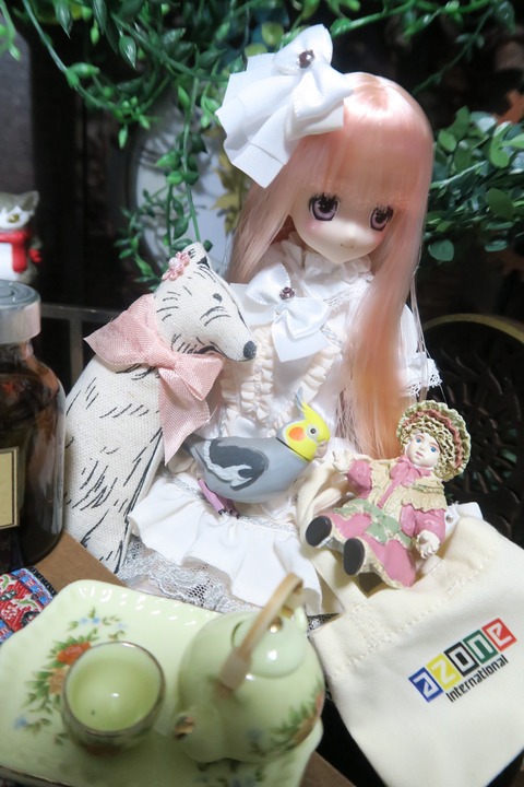 orange_pekoe_8_2016_7_28_IMG_2924