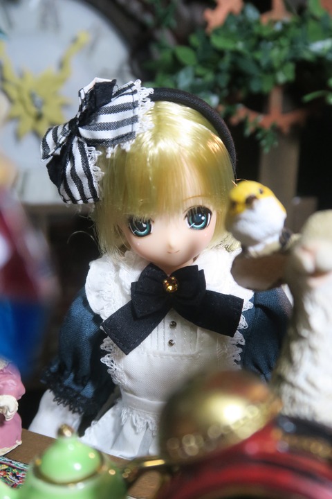 orange_pekoe_4_2019_4_9_IMG_5562