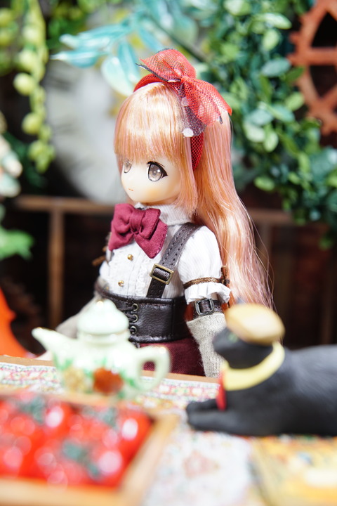 orange_pekoe_8_2019_4_7_DSC03335