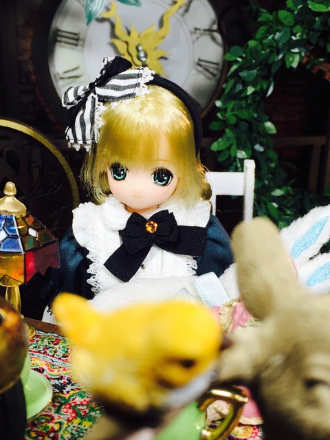 orange_pekoe_6_2017_2_23_IMG_1481