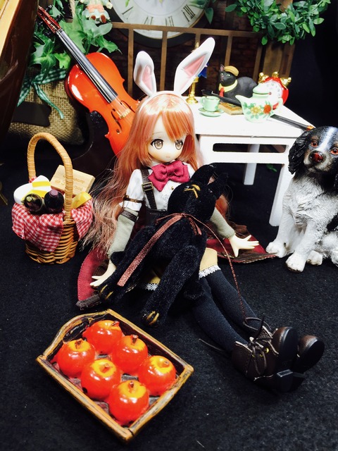 orange_pekoe_5_2019_4_17_IMG_9819