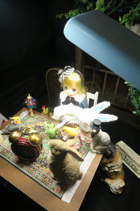 orange_pekoe_5_2017_2_19_IMG_5607