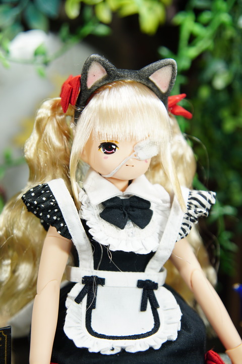 orange_pekoe_7_2019_4_25_DSC02151