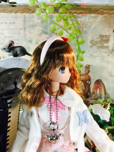 orange_pekoe_5_2017_2_27_IMG_1047