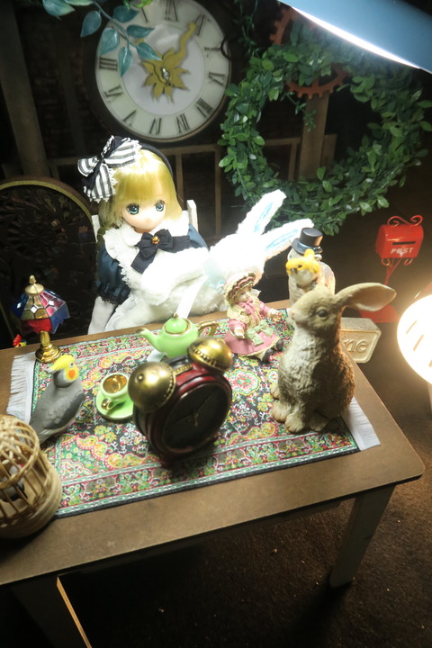 orange_pekoe_3_2017_2_22_IMG_5615