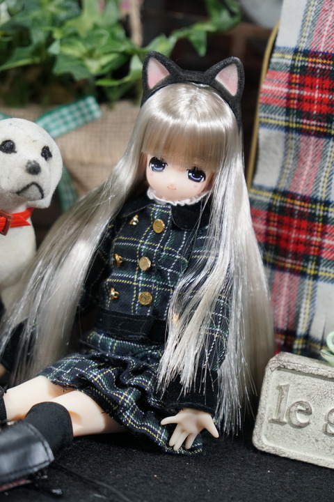 orange_pekoe_5_2019_4_19_DSC00890