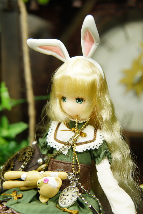 orange_pekoe_5_2019_5_6_DSC00198