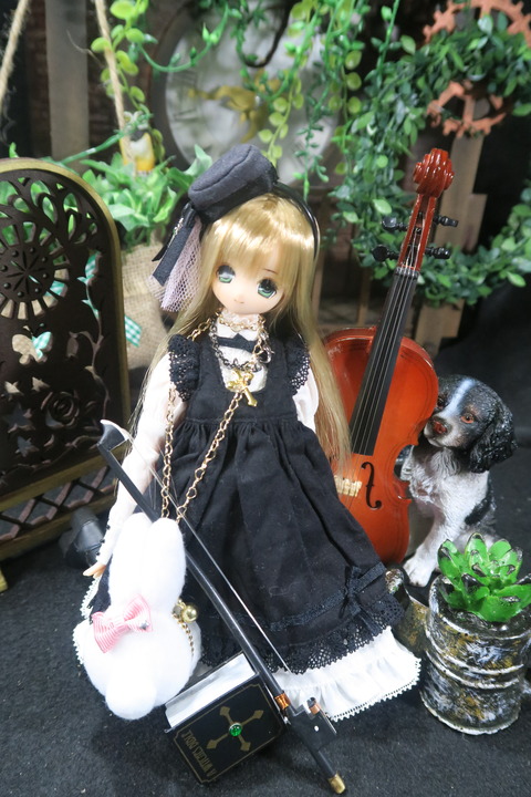 orange_pekoe_6_2019_4_29_IMG_0512