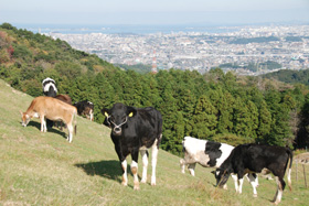 fuukei%201