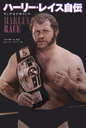harleyrace