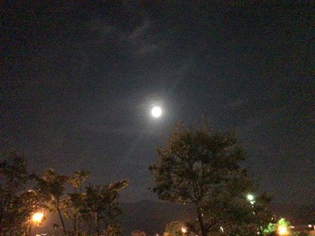 C1CB9356-B52E-418F-AD15-82F6227E1A42