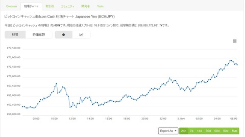 bitcoin_cash2