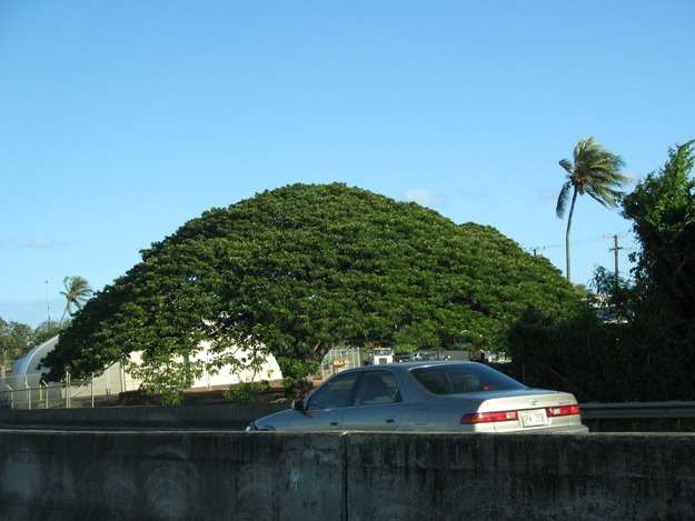 20070621124954