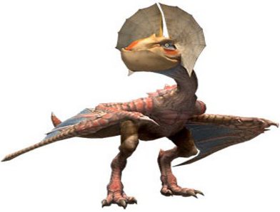 クック1