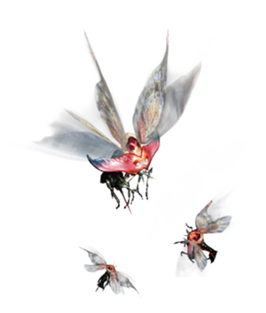 s016b