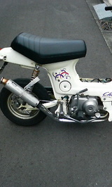 76178b81.jpg