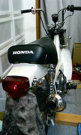 a8f59fdc.jpg
