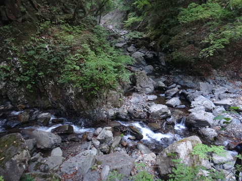 DSC00699