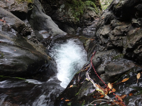 DSC00677