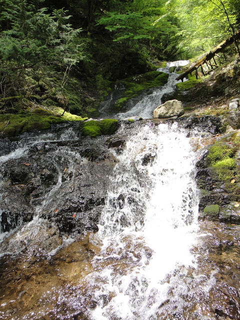 DSC06519