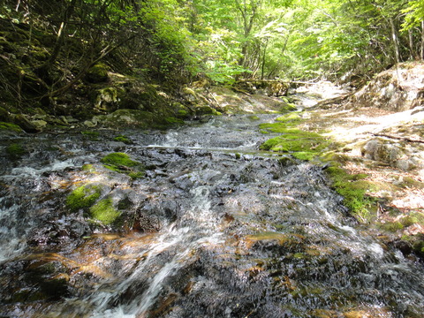 DSC06504